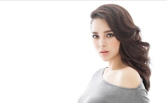 河北久盟国际赛鸽公棚(春棚)